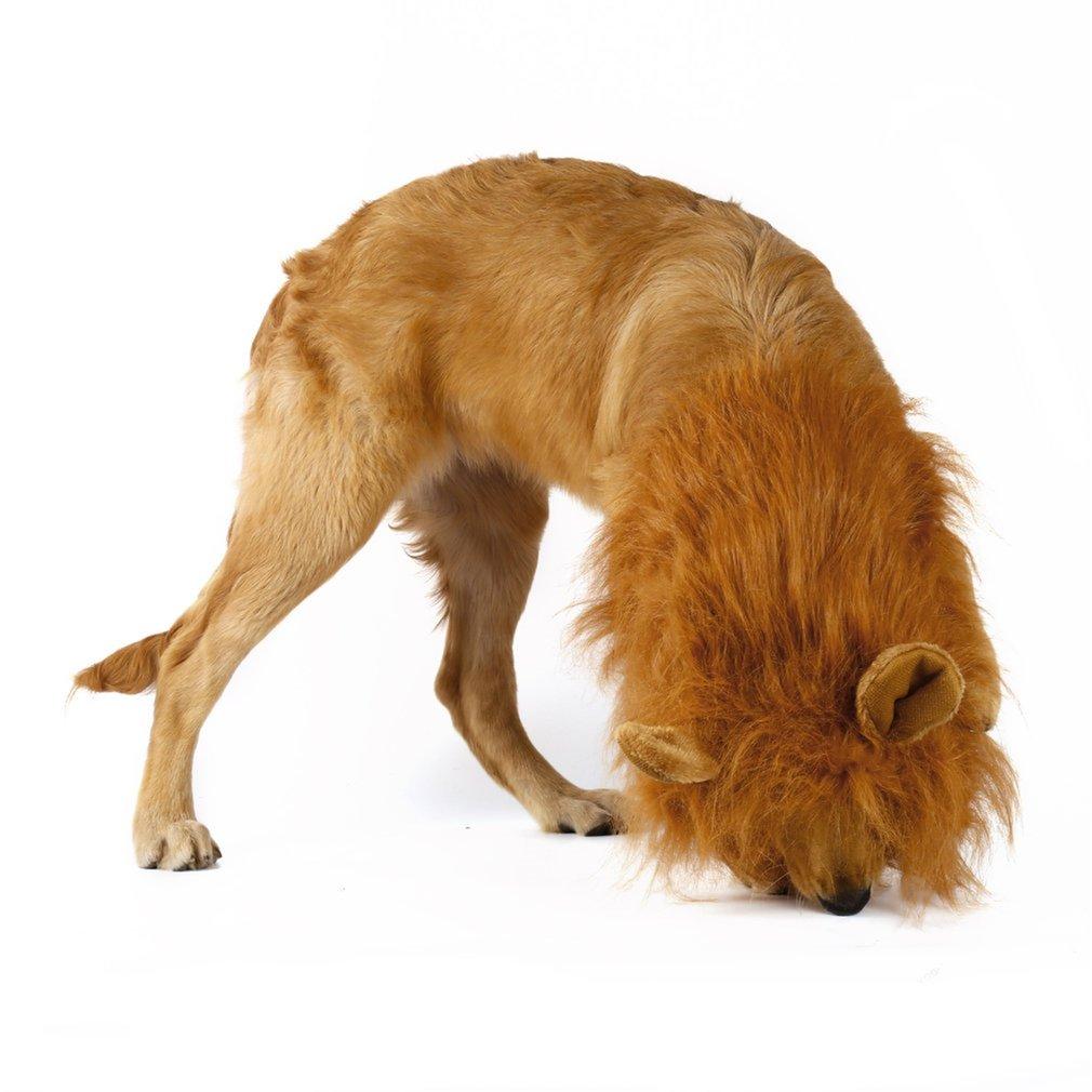 Lion's Mane Pet Wig with Ears