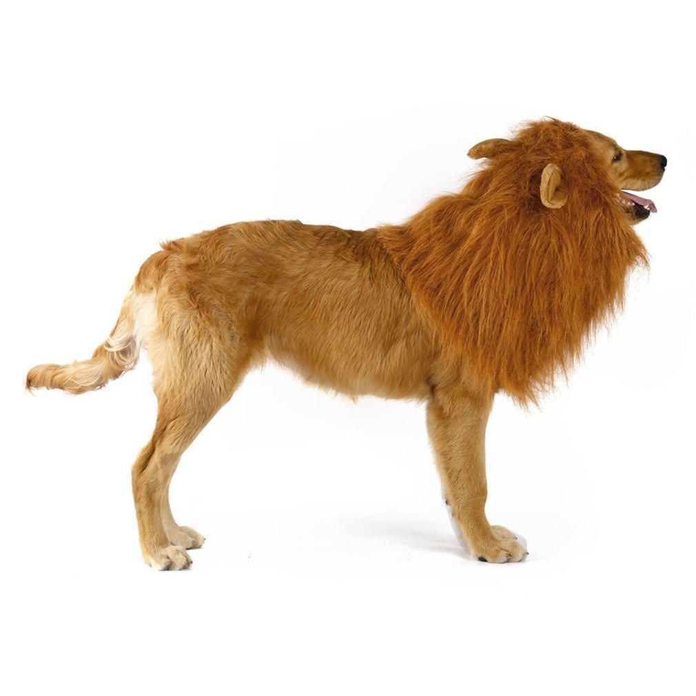 Lion's Mane Pet Wig with Ears