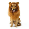 Lion's Mane Pet Wig with Ears