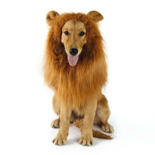 Lion's Mane Pet Wig with Ears