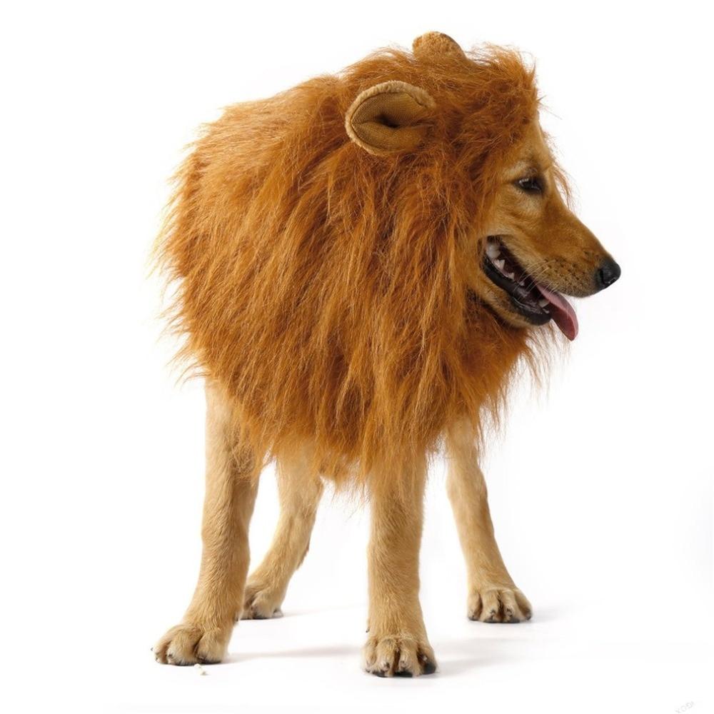 Lion's Mane Pet Wig with Ears