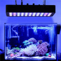 Dimmable Full Spectrum LED Aquarium Light